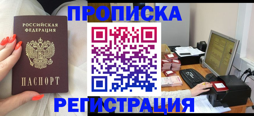 временная регистрация поиск в Новгородской области